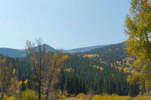 20201020FallColors2020096.jpg